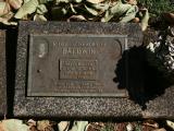 image of grave number 965337